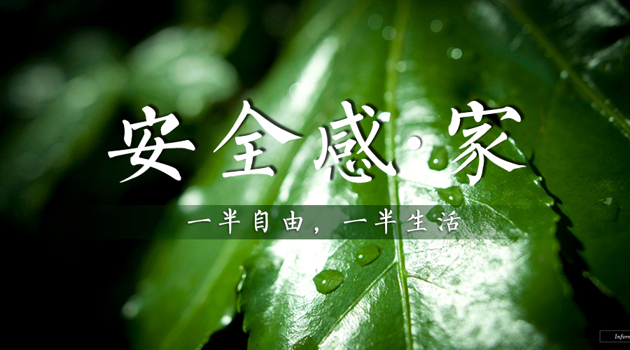 新西兰Z6尊龙集团官方网站板材