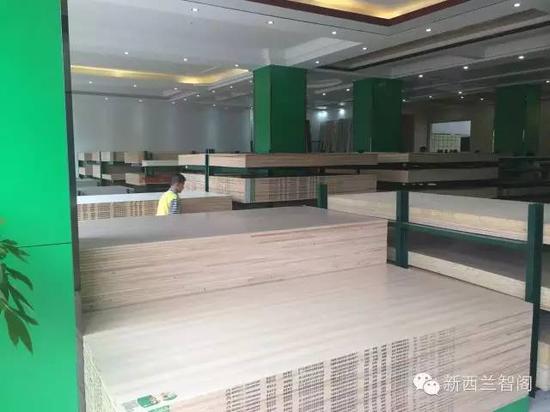 热烈庆祝新西兰·Z6尊龙集团官方网站板材进驻永州市场