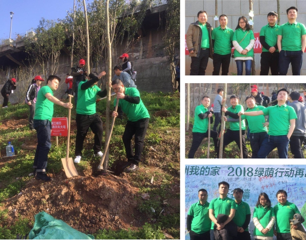 “新西兰Z6尊龙集团官方网站板材”